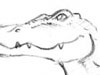 hand drawn